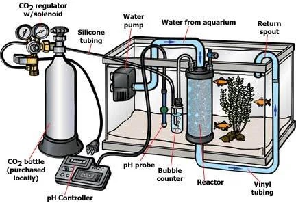 Hệ thống CO2 sử dụng cho bể thủy sinh